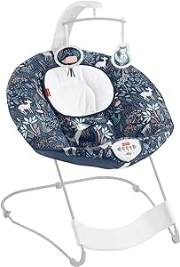 Fisher-Price See & Soothe Deluxe Bouncer