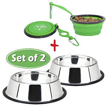 Set of 2 Dog Bowl 32 Ounce Stainless Steel for pet/dog/cat food or water and Travel Dog Bowl 7 inch Silicone, bottle holder & clip; perfect size for any dog by Lally Pet