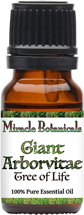 Miracle Botanicals Giant Arborvitae Essential Oil - 100% Pure Thuja Picata - Therapeutic Grade - 10ml