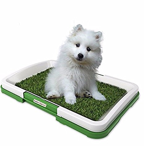 golden-club Dog Potty Grass Pee Pad – Artificial Pet Grass Patch for Dogs to Pee On Great for Puppy Potty Training as an Indoor/Outdoor Litter Box