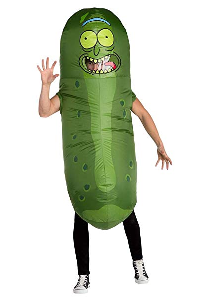 Palamon Adult Rick and Morty Pickle Rick Inflatable Costume Standard