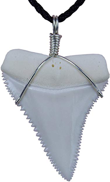 GemShark Real Shark Tooth Necklace for Men Boy Great White 0.8-1.8 in Sterling Silver Handmade Winding Charm Pendant