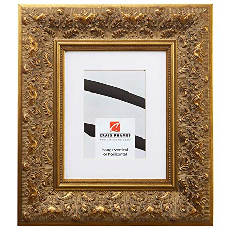 Craig Frames Borromini, 22 x 28 Inch Gold and Bronze Picture Frame Matted to Display an 18 x 24 Inch Photo