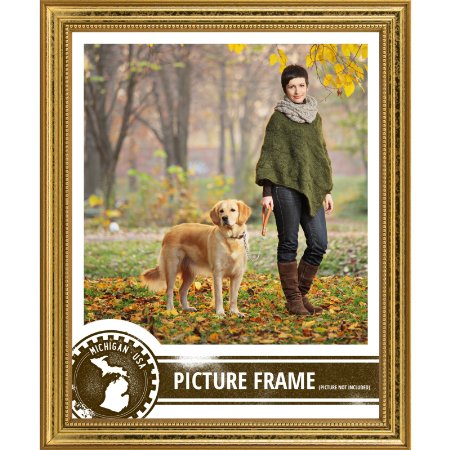 Craig Frames 314GD1216D 0.75-Inch Wide Picture/Poster Frame in Ornate Finish, 12 by 16-Inch, Ornate Gold