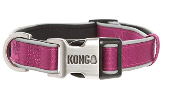 KONG Reflective Premium Neoprene Padded Dog Collar offered by Barker Brands Inc.