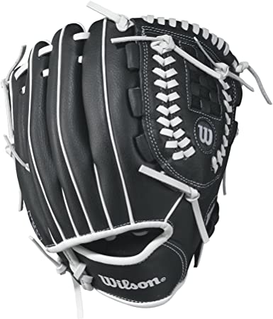 Wilson A360 Series 10`` All Positions Glove (WTA03RB1710)