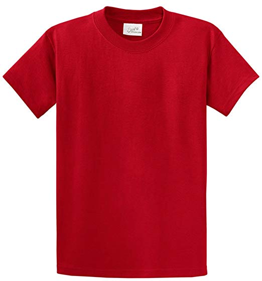 Mens Heavyweight 6.1-Ounce, 100% Cotton T-Shirts in Regular, Big and Tall Sizes