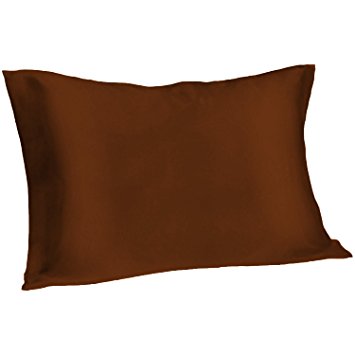 Spasilk 100-Percent Pure Silk Facial Beauty Pillowcase, Standard/Queen, Chocolate