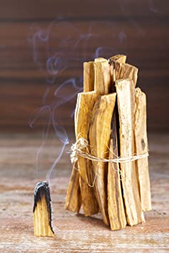 GeoFossils Premium Palo Santo (Sacred Wood) Natural Incense - High Resin Content - Premium Graded (100 Grams)
