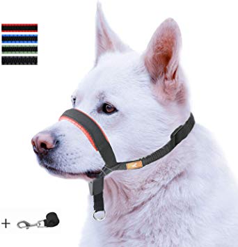 wintchuk Dog Head Collar with Padded Leather, Head Harness Stops Dog Pulling, Head Leash
