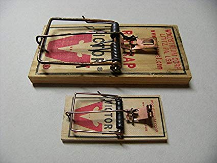 Mouse Traps (Pack of 10)