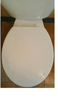 Standard Round 173-0425-000 Slow Close Toilet Seat, White