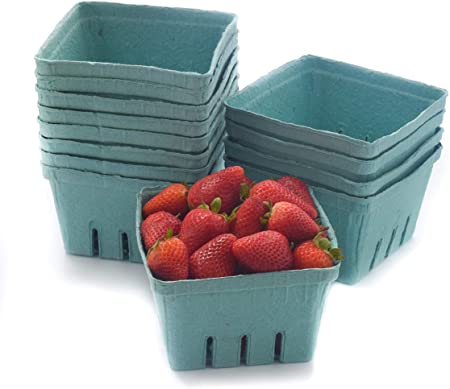 JA Kitchens QUART Green Molded Pulp Fiber Berry / Produce Vented Basket (20 Pieces)