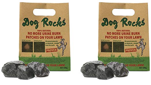Dog Rocks - 100% Natural Grass Burn Prevention - Prevents Lawn Urine Stains - Two Large Bulk Bags - 12 Month Supply