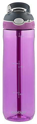 Contigo Auto Spout Ashland Water Bottle, 24 oz, Radiant Orchid