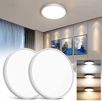 Ceiling Light Fixtures 2 Pack 28W Led Ceiling Lights Flush Mount with 3 Color (3000K/4000K/6500K) Thin Led Ceiling Light for Hallways Balcony Kitchen Bedroom Light Fixtures Ceiling