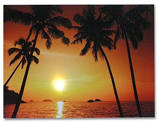 BANBERRY DESIGNS Beach Sunset - LED Canvas Print - Light Up Wall Decoration - Tropical Ocean Sunset with Palm Trees - 12x16 Inch