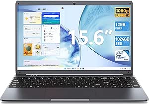 SGIN 15.6 Inch Laptop Computer with 12GB RAM 1024GB SSD Laptops, Celeron N5095 Quad-Core(Up to 2.9GHz), 15.6" IPS 1080P Notebook, 7000mAh Battery, 5G WiFi, Webcam, Type-C, Mini HDMI, USB 3.0(Silver)