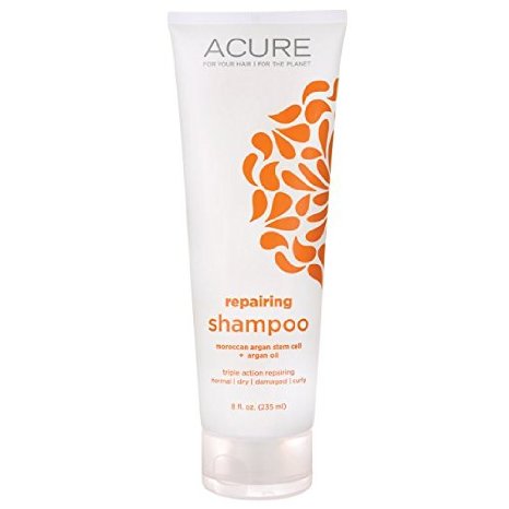 Acure Organics Natural Shampoo - Morrocan Argan Stem Cell   Argan Oil, 8 oz