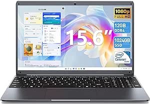 SGIN 15.6 Inch Laptop Computer, 12GB RAM Laptops Computer with 1024GB SSD, Celeron N5095 Quad-Core(Up to 2.8GHz), 15.6" FHD IPS Notebook, 5G WiFi, BT 5.0, Mini HDMI, Type C, Dual Speakers