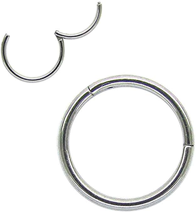 1Pair 16G 18G Hinged Clicker Segment Septum Lip Nose Hoop Rings Helix Daith Cartilage Tragus Body Piercing Jewelry