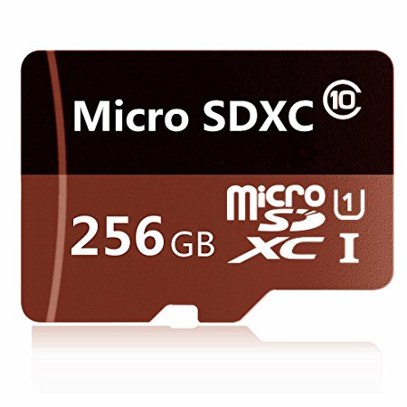 128GB Micro SD SDXC Memory Card High Speed Class 10 128gb with Micro SD Adapter, Designed for Android Smartphones, Tablets And Other MicroSDXC Compatible Devices. (128GB)