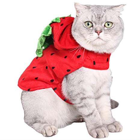 ANIAC Pet Adjustable Strawberry Hoody Halloween Costume Christmas Sweater with hat for Cats and Small Dogs